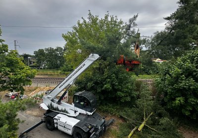 Magni im Einsatz